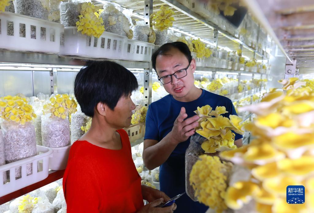 中国新赌场